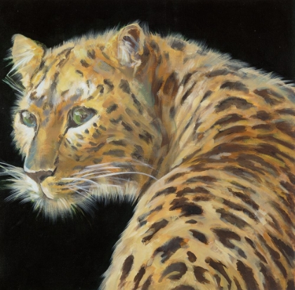 Picture of GREEN-EYED LEOPARD