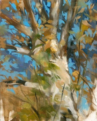 Picture of OAK TREE