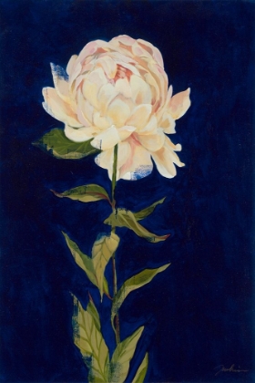 Picture of PRETTY AS A PEONY I