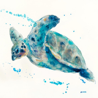 Picture of SEA TURTLE V1