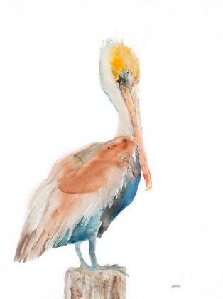 Picture of PELICAN I