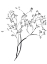 Picture of AIRY BLOOMS III