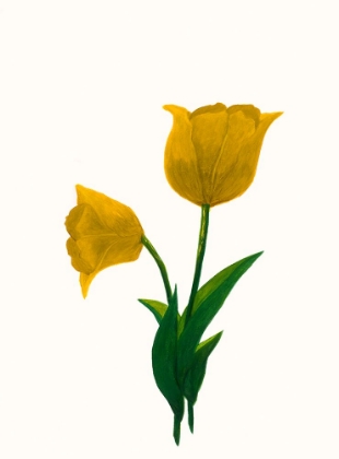 Picture of SUNRISE TULIP I