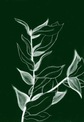 Picture of CHARCOAL FOLIAGE I