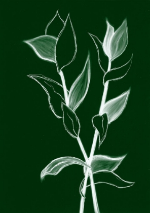 Picture of CHARCOAL FOLIAGE II