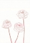 Picture of PEONY BLOOMS II