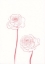 Picture of PEONY BLOOMS III
