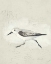 Picture of SEA BIRDS II