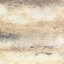 Picture of CIRCULAR HORIZON II