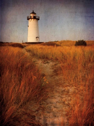 Picture of TO THE HARBOR LIGHT