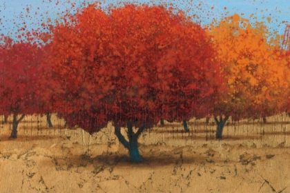 Picture of ORANGE TREES II