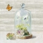 Picture of SUCCULENT GARDEN I