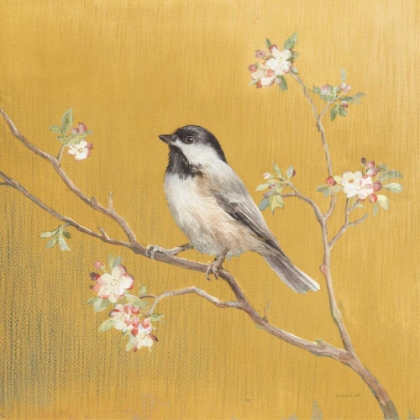 Picture of BLACK CAPPED CHICKADEE ON GOLD