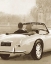 Picture of A RIDE IN PARIS II SEPIA CROP