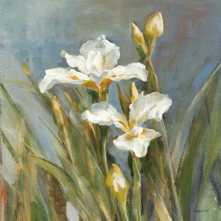 Picture of SPRING IRIS II