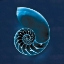 Picture of CYANOTYPE SEA II