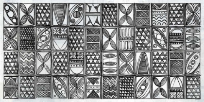 Picture of PATTERNS OF THE AMAZON I BW