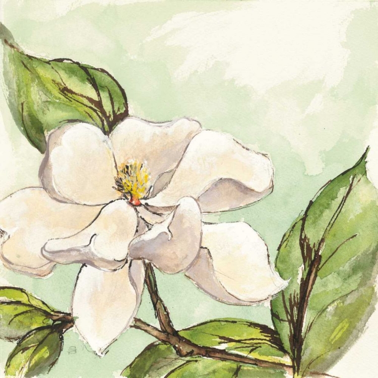 Picture of MAGNOLIA I