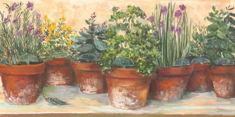 Picture of COUNTRY HERBS