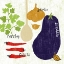 Picture of ITALIANO EGGPLANT