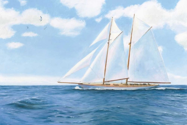 Picture of MAJESTIC SAILBOAT