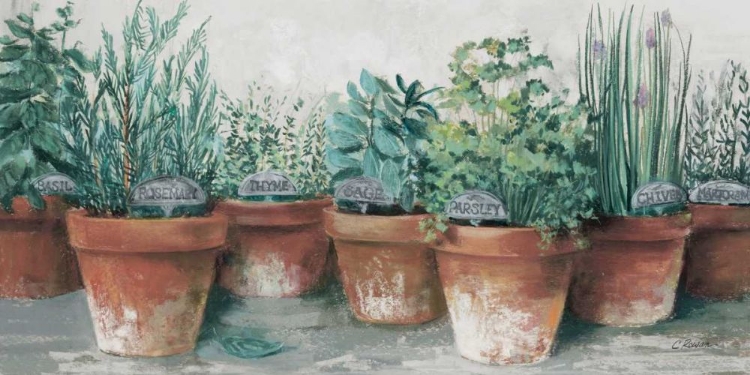 Picture of POTS OF HERBS II COTTAGE