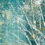 Picture of BLUE BIRCH II