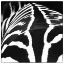 Picture of ZEBRA V
