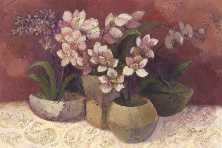 Picture of ORCHID DREAM