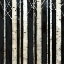 Picture of BIRCH TREE SQUARE II