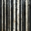 Picture of BIRCH TREE SQUARE III
