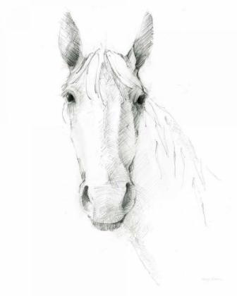 Picture of HORSE SKETCH