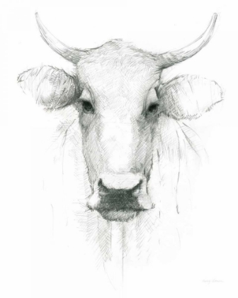 Picture of COW SKETCH