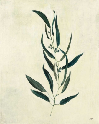 Picture of BOTANICAL STUDY VI