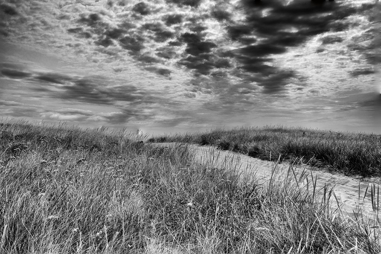 Picture of NANTUCKET DUNES