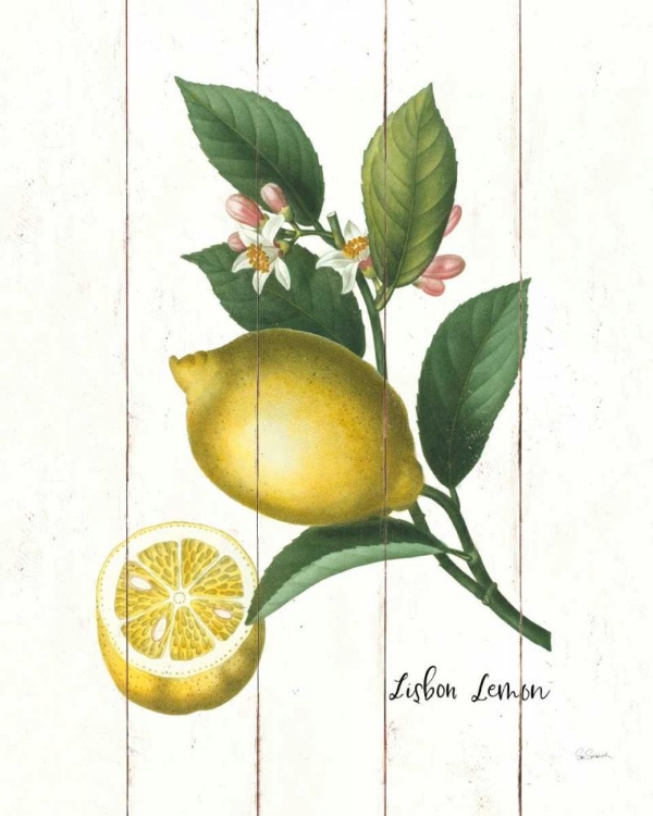 Picture of COTTAGE LEMON I