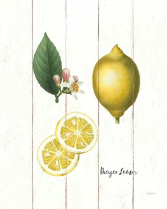 Picture of COTTAGE LEMON II