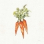 Picture of VEGGIE MARKET V CARROTS