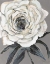 Picture of ROSE NEUTRAL