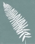 Picture of NATURE BY THE LAKE FERNS IV GRAY MIST CROP