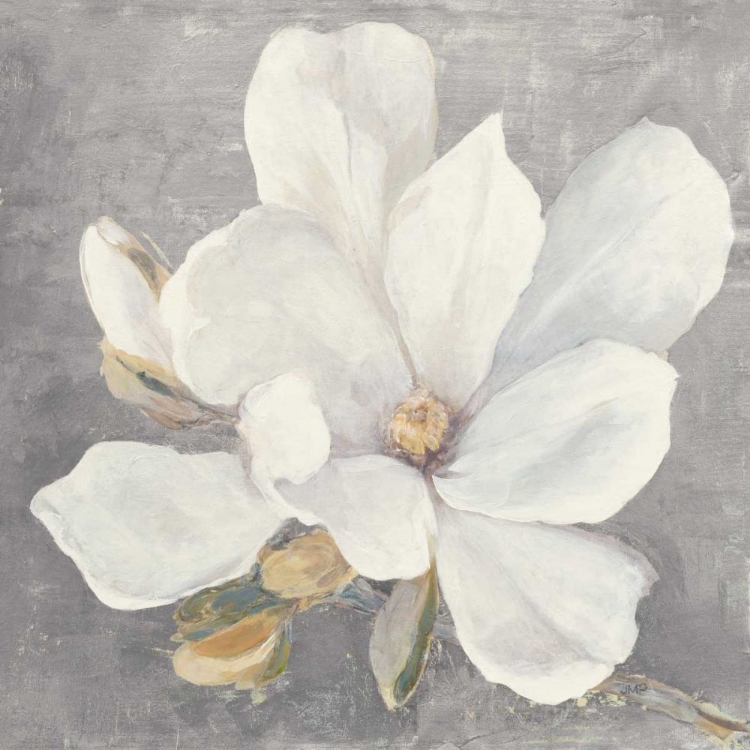 Picture of SERENE MAGNOLIA LIGHT GRAY