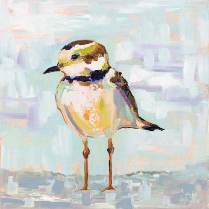 Picture of COASTAL PLOVER II NEUTRAL