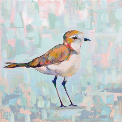 Picture of COASTAL PLOVER III NEUTRAL