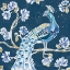 Picture of PEACOCK ALLEGORY IV BLUE V2