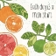 Picture of CITRUS SPLASH IV BLACK TEXT