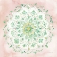 Picture of JAIPUR V BLUSH