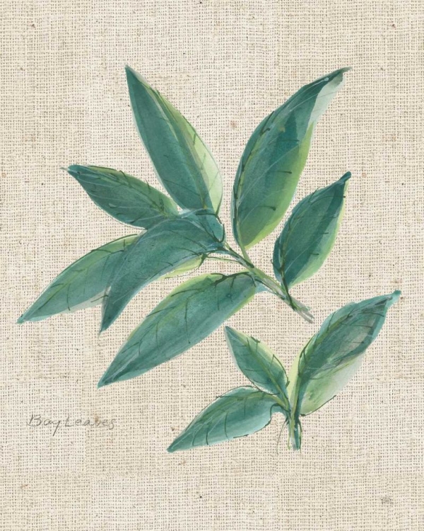 Picture of BAY LEAF ON BURLAP