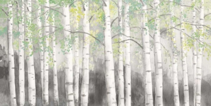 Picture of SOFT BIRCHES CHARCOAL