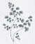 Picture of SOFT SUMMER SKETCHES IV BLUE