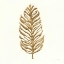Picture of GILDED PALM IV